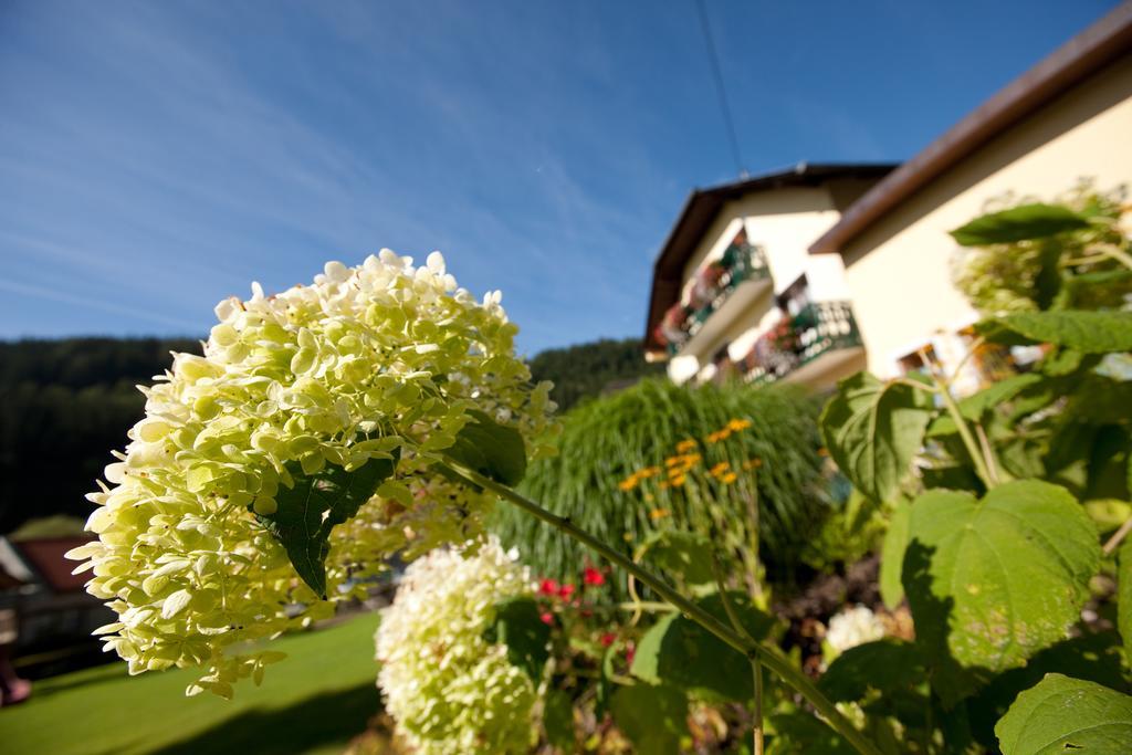 Hotel Moenichwalderhof Monichwald Ngoại thất bức ảnh